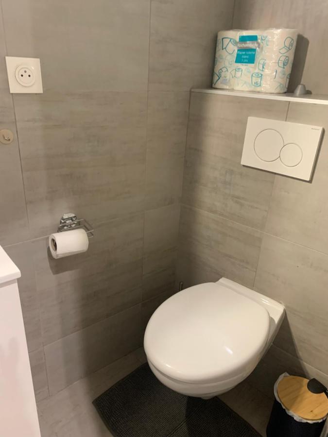 Appartement Clef Des Etoiles Colmar Bagian luar foto